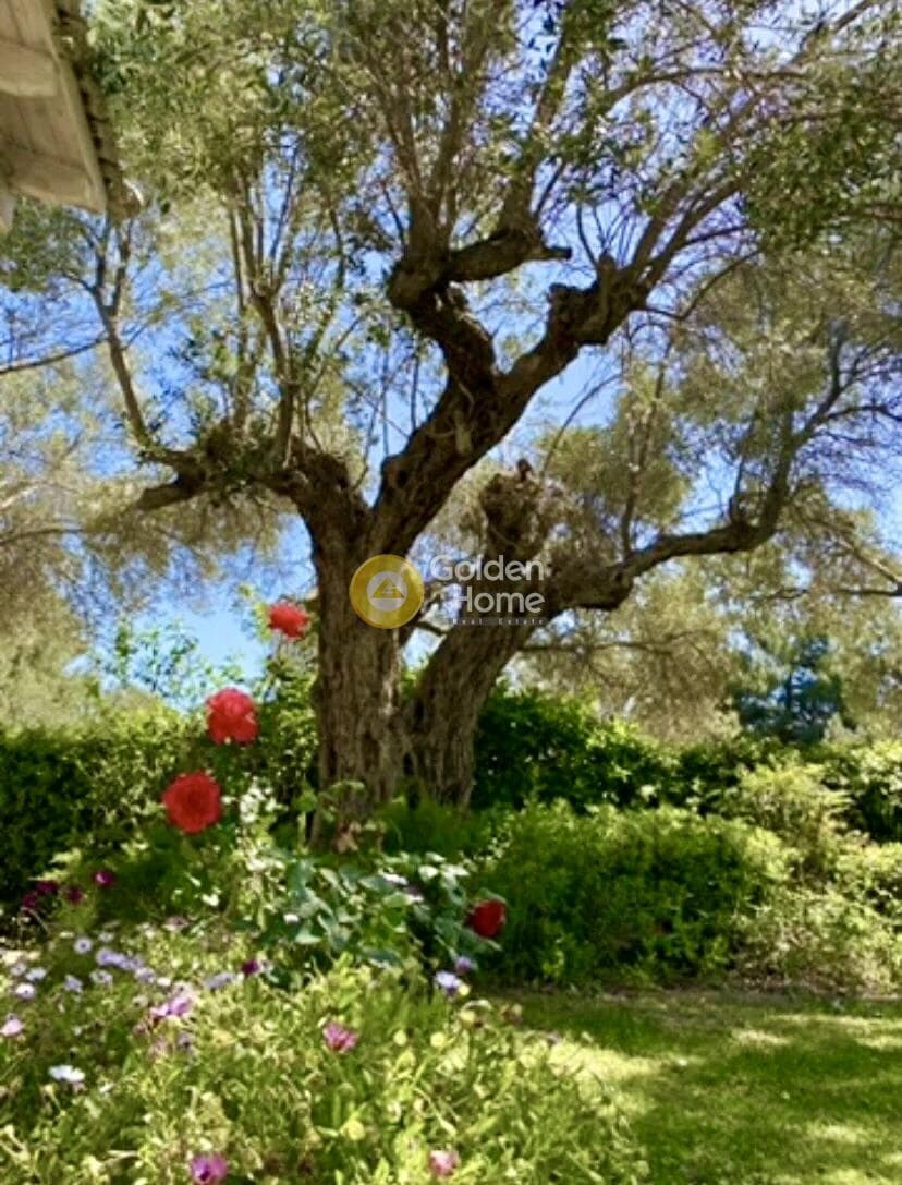 Μονοκατοικία στην Άγιος Ανδρέας, Νέα Μάκρη — Φωτογραφία 36 από 40