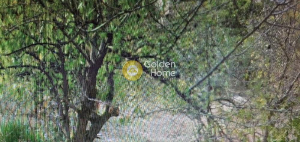 Building Plot in Selinia, Salamina