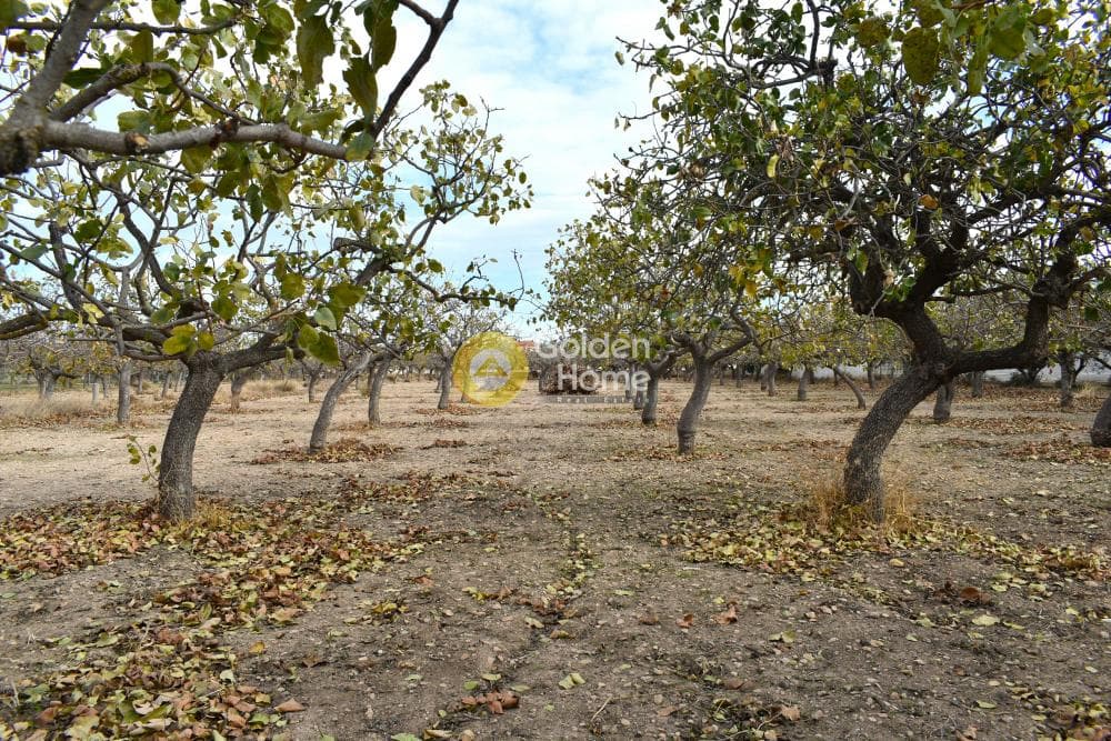 Building Plot in Kipseli, Aegina — Photo 6 of 6