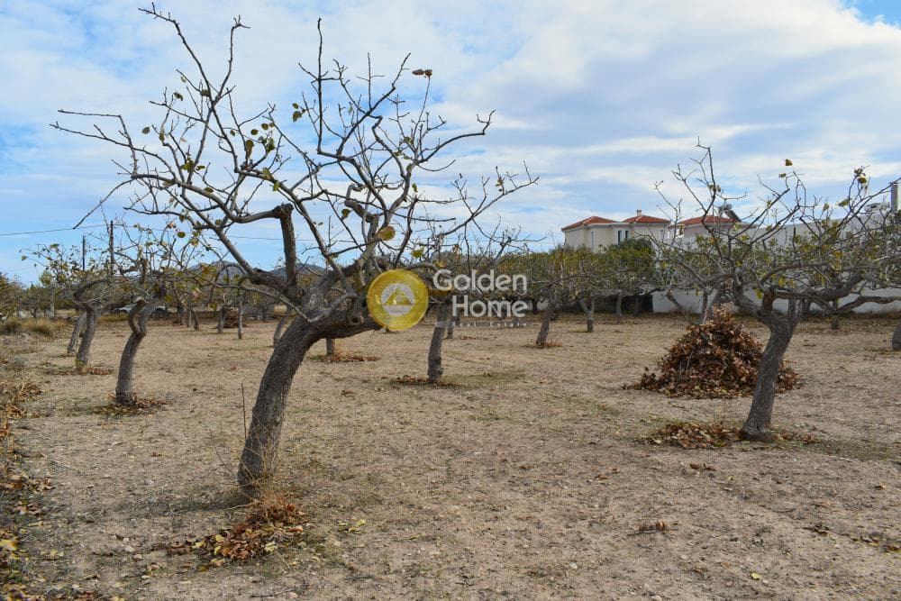 Building Plot in Kipseli, Aegina — Photo 5 of 6