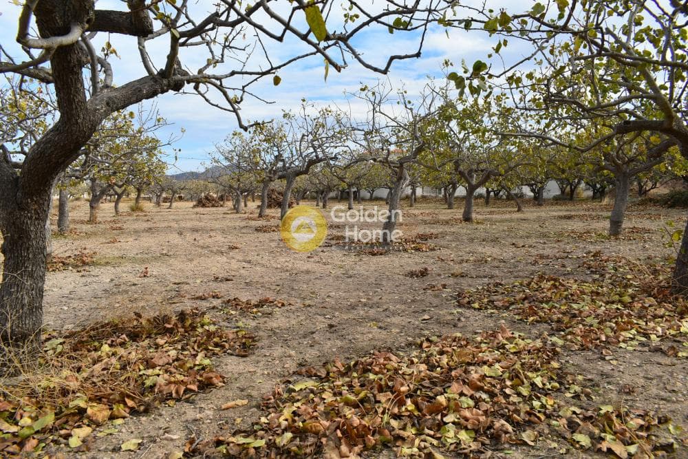 Building Plot in Kipseli, Aegina — Photo 2 of 6