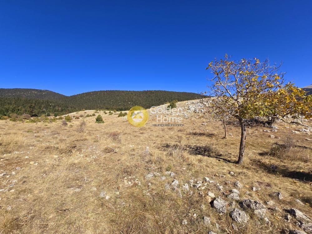 Μονοκατοικία στην Κέντρο, Αράχωβα — Φωτογραφία 28 από 33