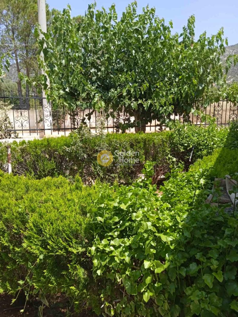 Μονοκατοικία στην Κέντρο, Καλύβια Θορικού — Φωτογραφία 13 από 13
