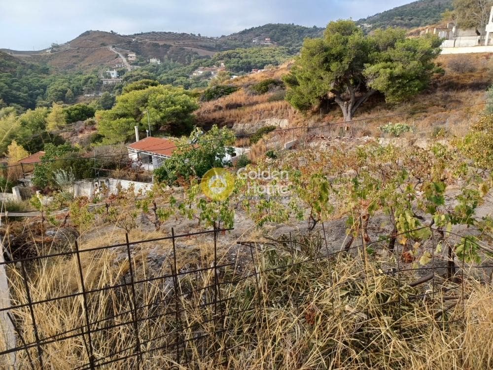 Parcel in Milos, Keratea — Photo 1 of 3