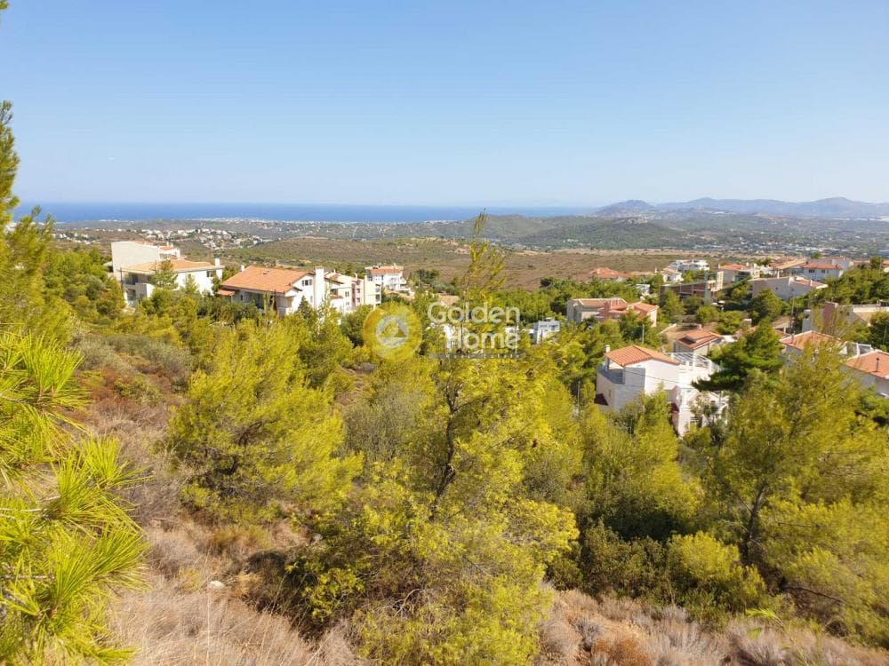 Οικόπεδο στην Δασαμάρι, Πικέρμι — Φωτογραφία 2 από 3