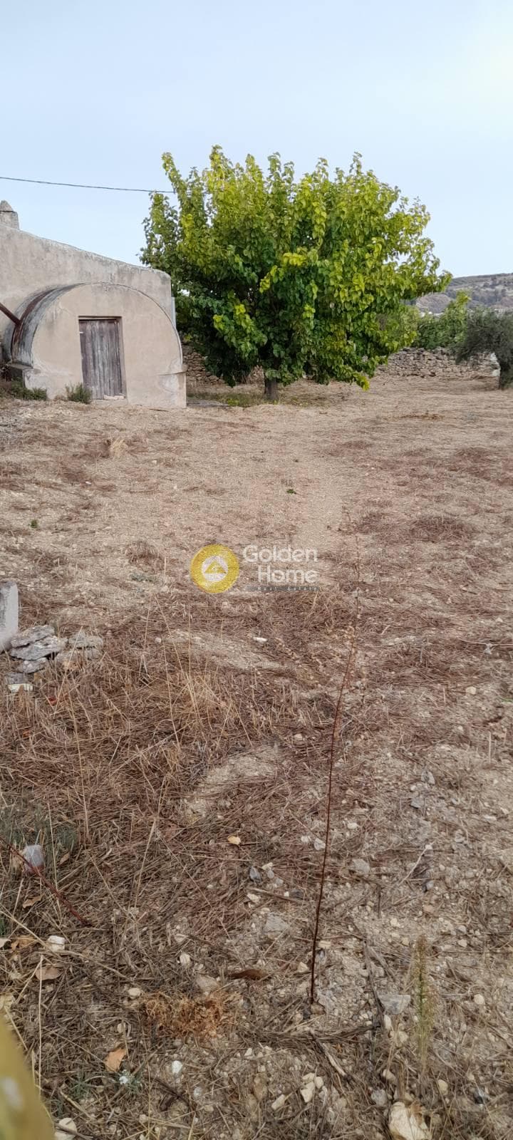 Οικόπεδο στην Δαφνές, Τετραχώρι
