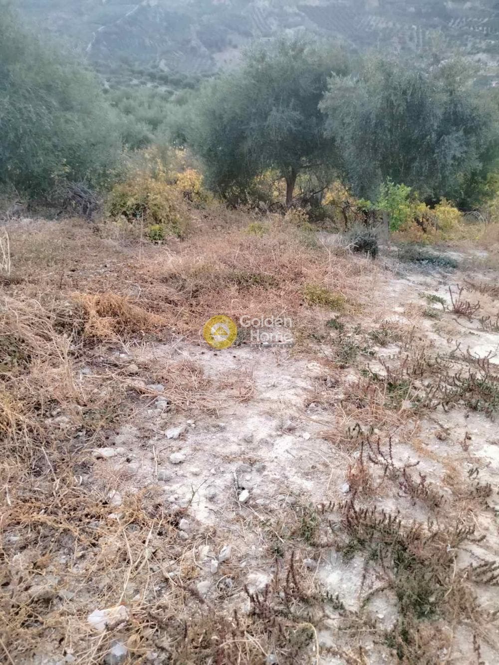 Οικόπεδο στην Κάτω Καλέσια, Τέμενος — Φωτογραφία 2 από 8