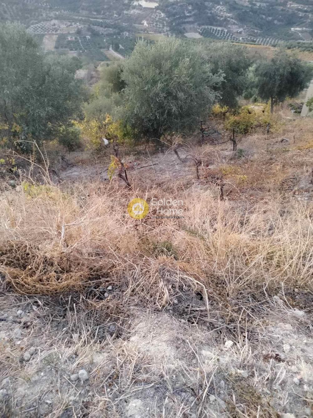 Οικόπεδο στην Κάτω Καλέσια, Τέμενος — Φωτογραφία 4 από 8