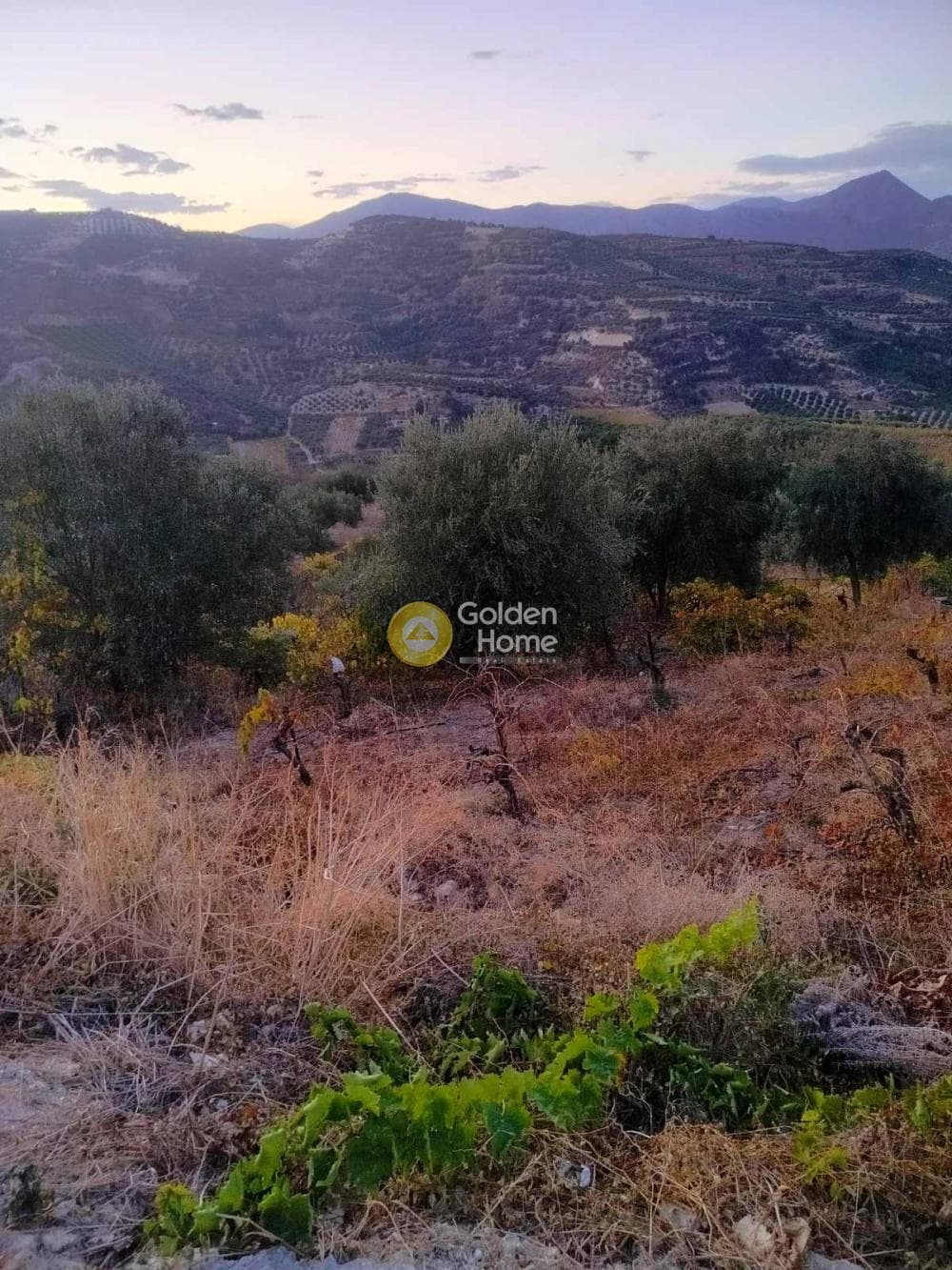 Οικόπεδο στην Κάτω Καλέσια, Τέμενος — Φωτογραφία 5 από 8