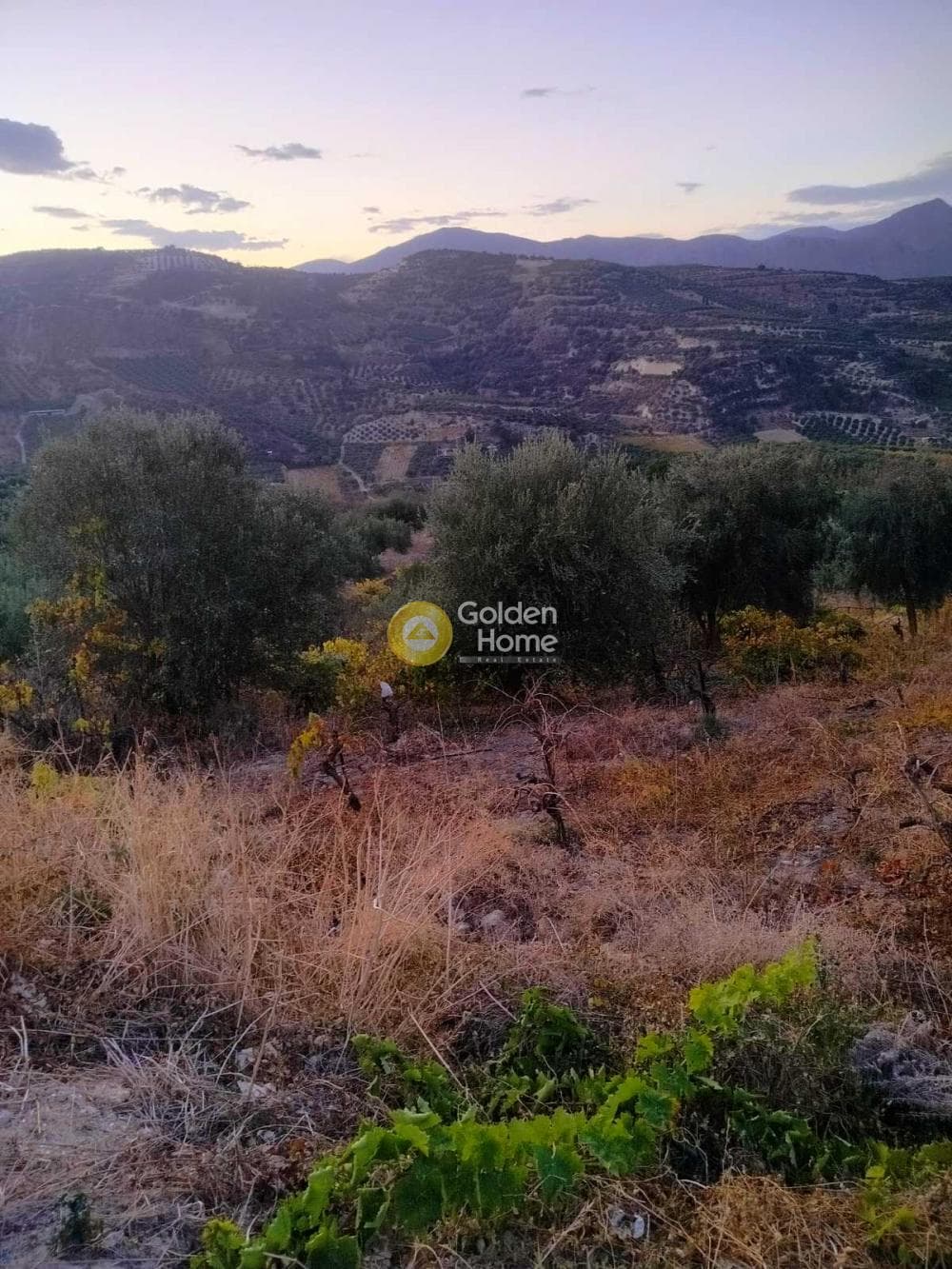 Οικόπεδο στην Κάτω Καλέσια, Τέμενος — Φωτογραφία 6 από 8