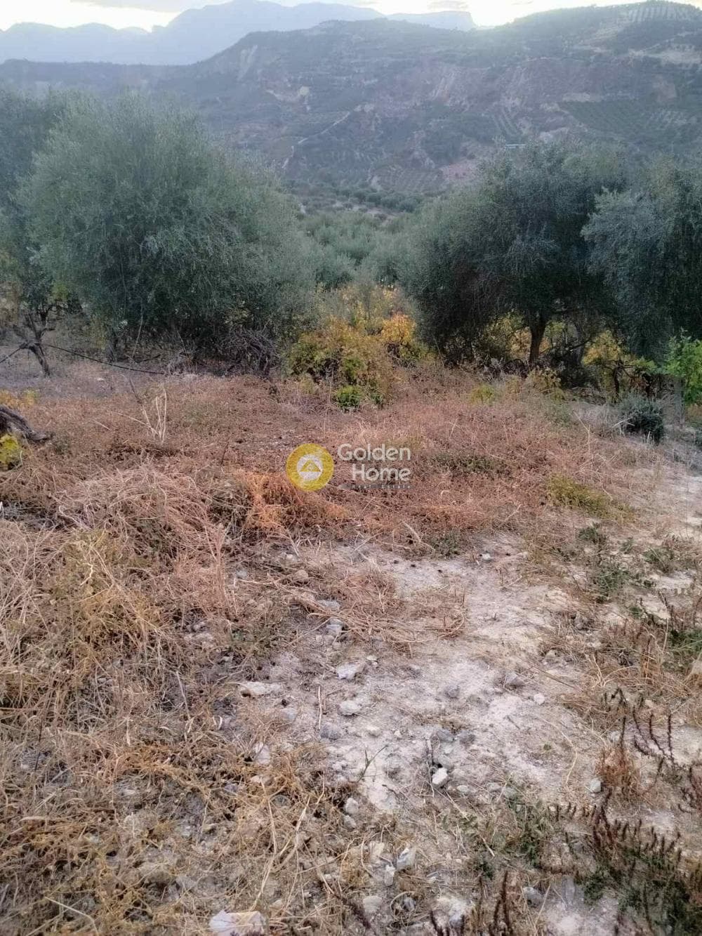 Οικόπεδο στην Κάτω Καλέσια, Τέμενος — Φωτογραφία 8 από 8