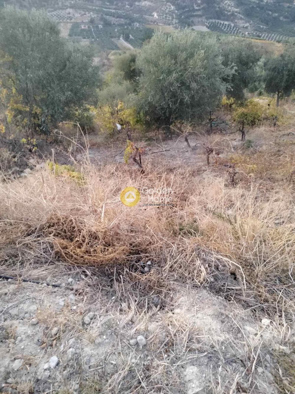 Οικόπεδο στην Κάτω Καλέσια, Τέμενος — Φωτογραφία 7 από 8