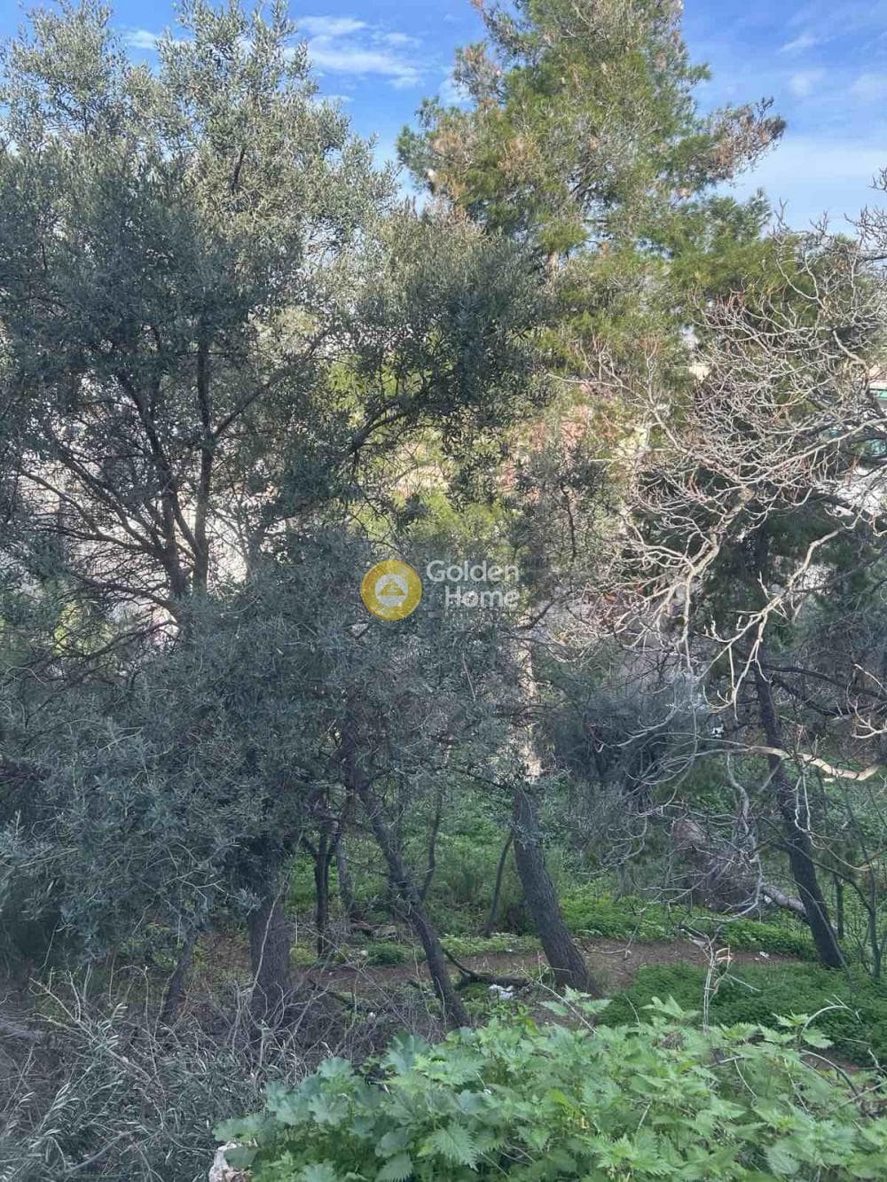 Οικόπεδο στην Άγιος Παντελεήμων, Δραπετσώνα — Φωτογραφία 4 από 8