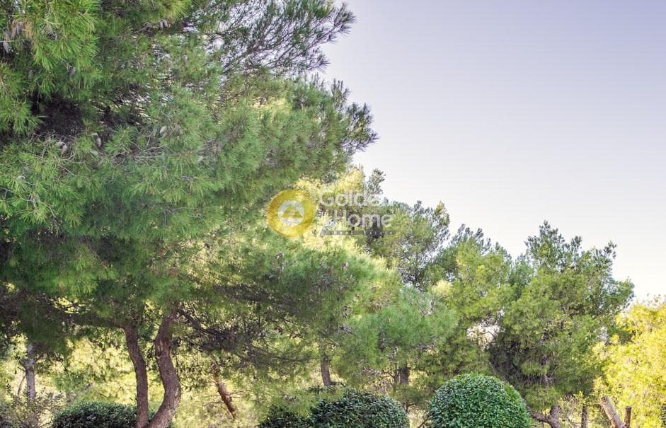 Building Plot in Vravrona, Vravrona — Photo 3 of 8
