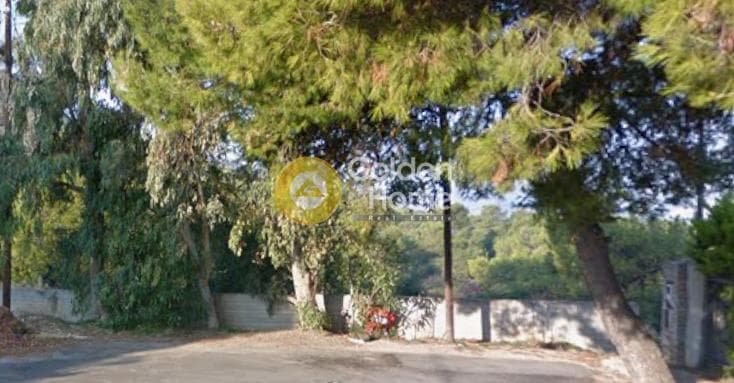 Building Plot in Vravrona, Vravrona — Photo 6 of 8