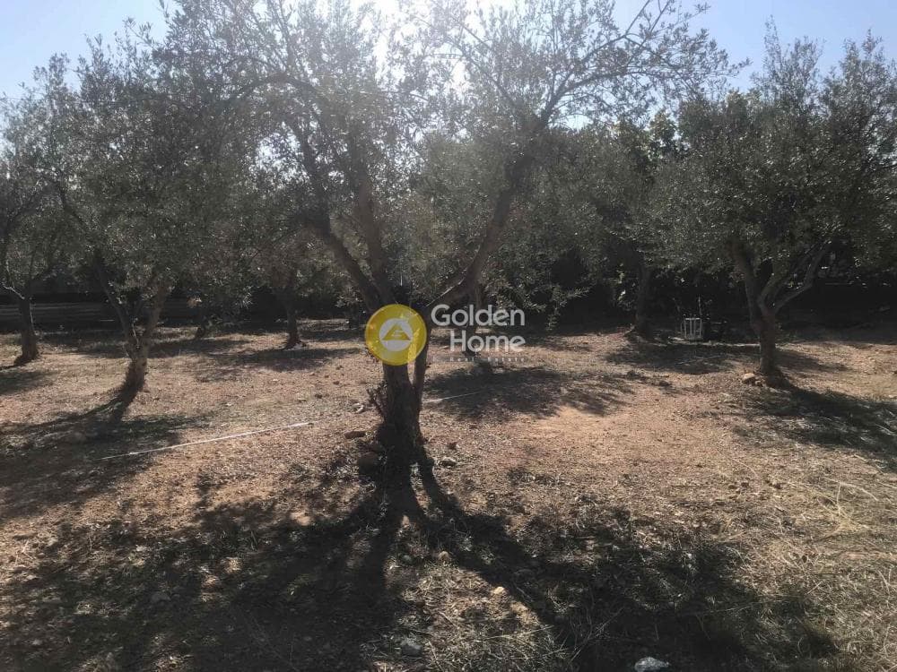 Οικόπεδο στην Άτταλος, Καματερό — Φωτογραφία 1 από 2
