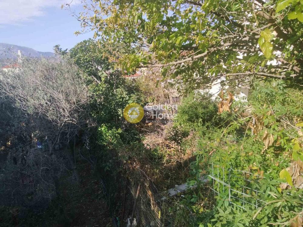 Οικόπεδο στην Νεάπολη, Σπάτα — Φωτογραφία 5 από 13