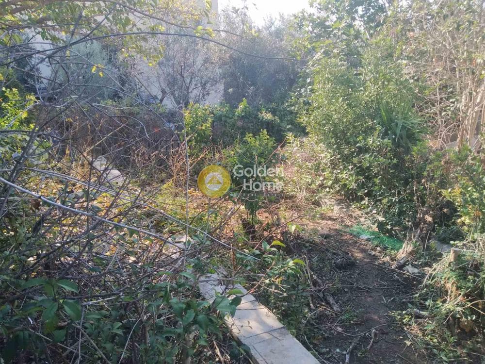 Οικόπεδο στην Νεάπολη, Σπάτα — Φωτογραφία 4 από 13