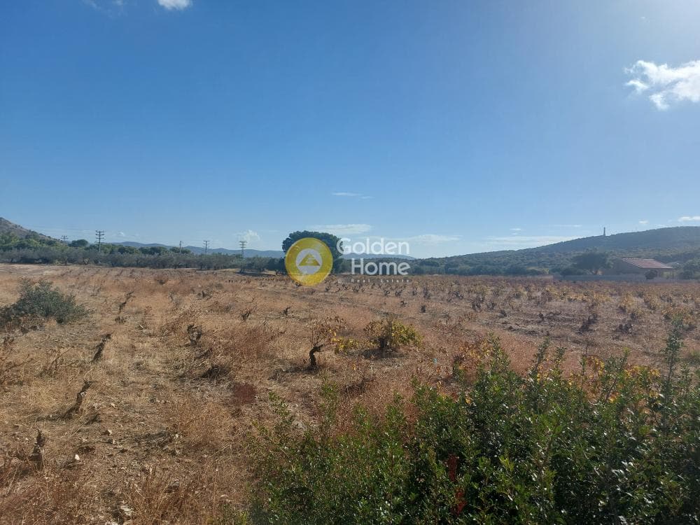 Αγροτεμάχιο στην Άγιος Γεώργιος Θορικού, Λαύριο — Φωτογραφία 3 από 4
