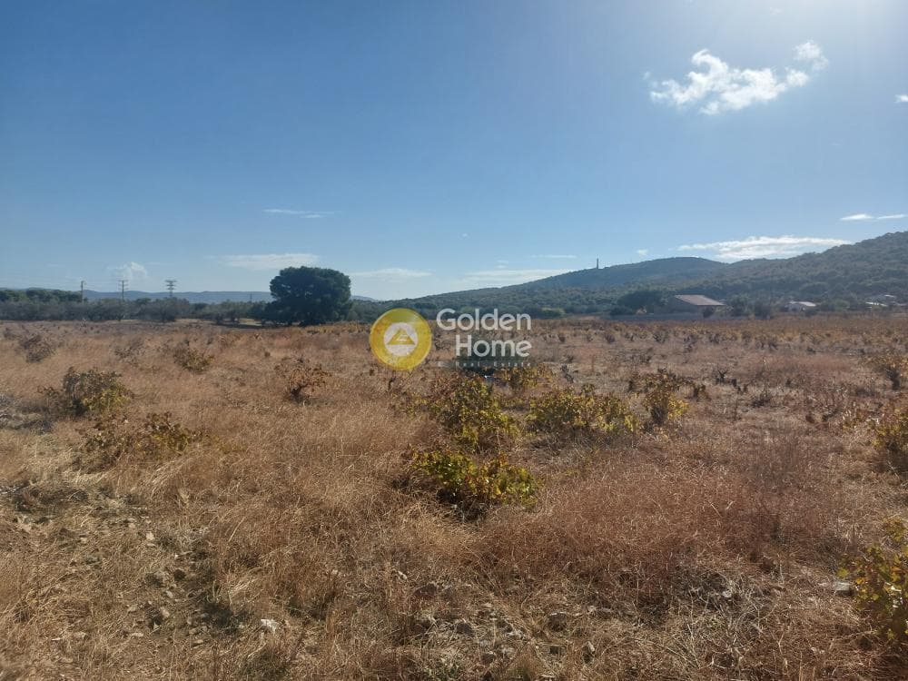 Αγροτεμάχιο στην Άγιος Γεώργιος Θορικού, Λαύριο — Φωτογραφία 4 από 4