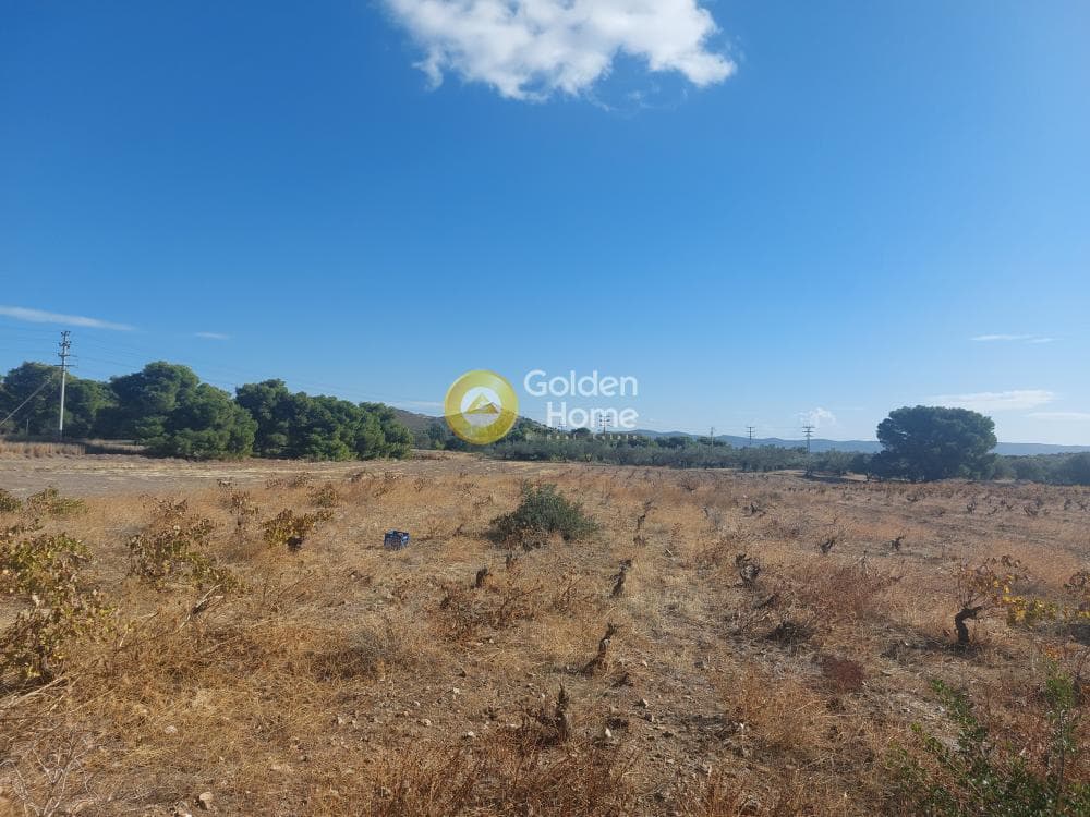 Αγροτεμάχιο στην Άγιος Γεώργιος Θορικού, Λαύριο — Φωτογραφία 1 από 4