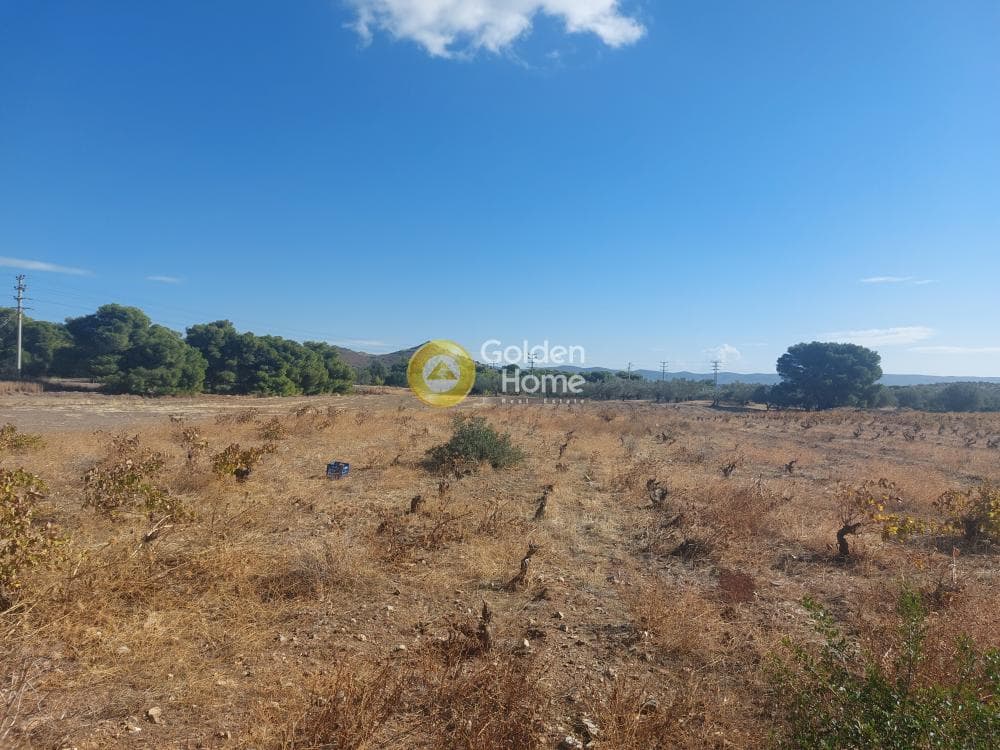 Αγροτεμάχιο στην Άγιος Γεώργιος Θορικού, Λαύριο — Φωτογραφία 2 από 4