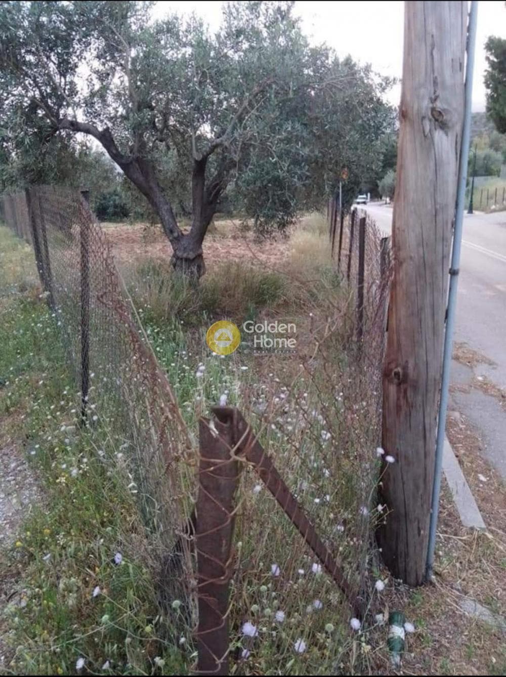 Parcel in Amani, Chios — Photo 4 of 4