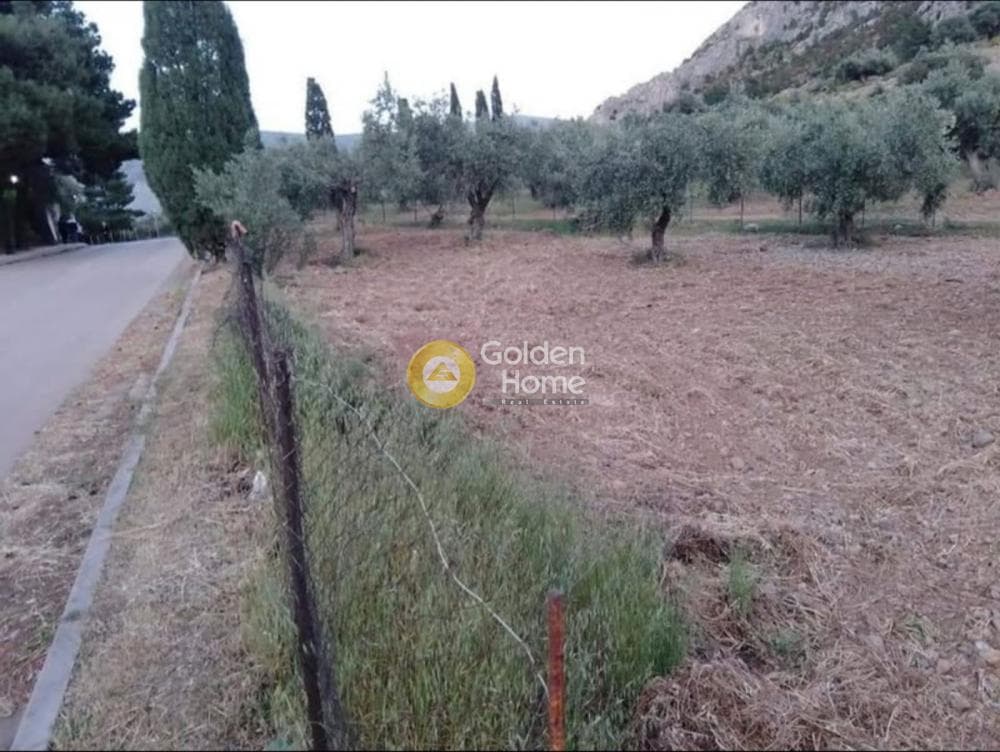 Parcel in Amani, Chios — Photo 1 of 4