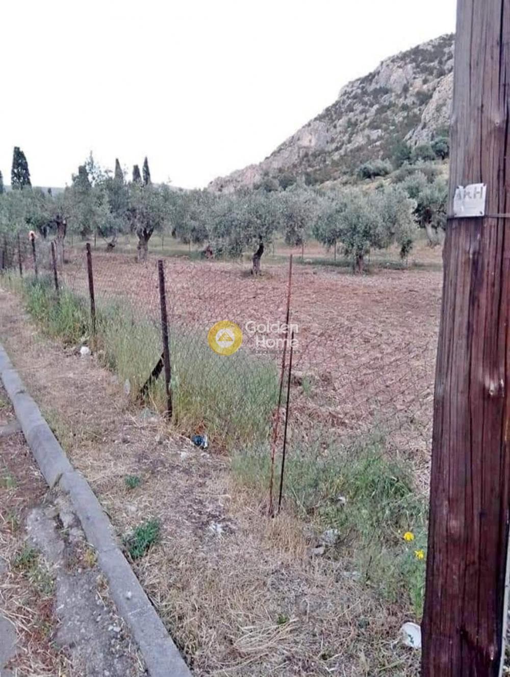 Parcel in Amani, Chios — Photo 2 of 4