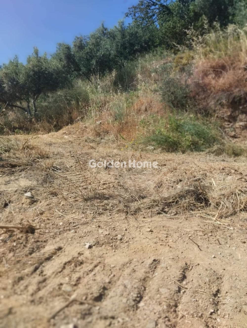 Οικόπεδο στην Καβροχώρι, Γάζι — Φωτογραφία 1 από 8