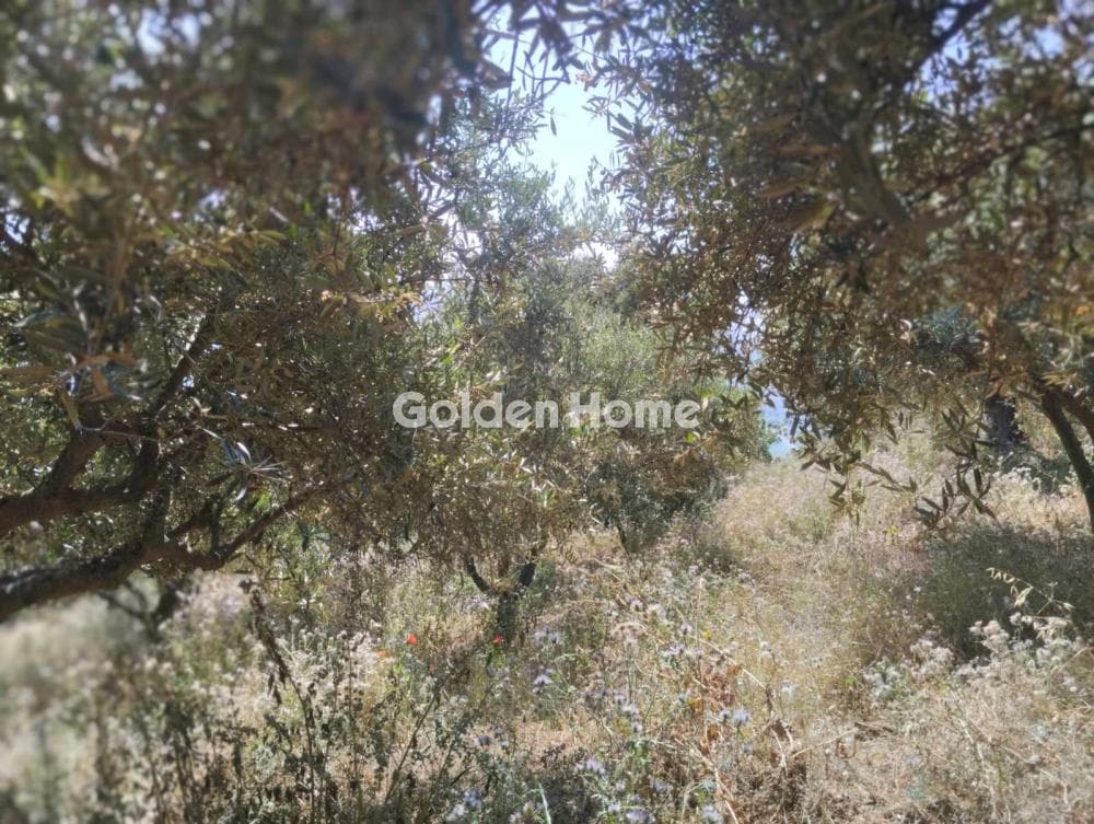 Οικόπεδο στην Καβροχώρι, Γάζι — Φωτογραφία 3 από 8