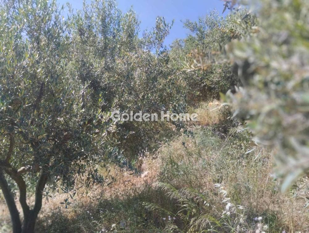 Οικόπεδο στην Καβροχώρι, Γάζι — Φωτογραφία 4 από 8