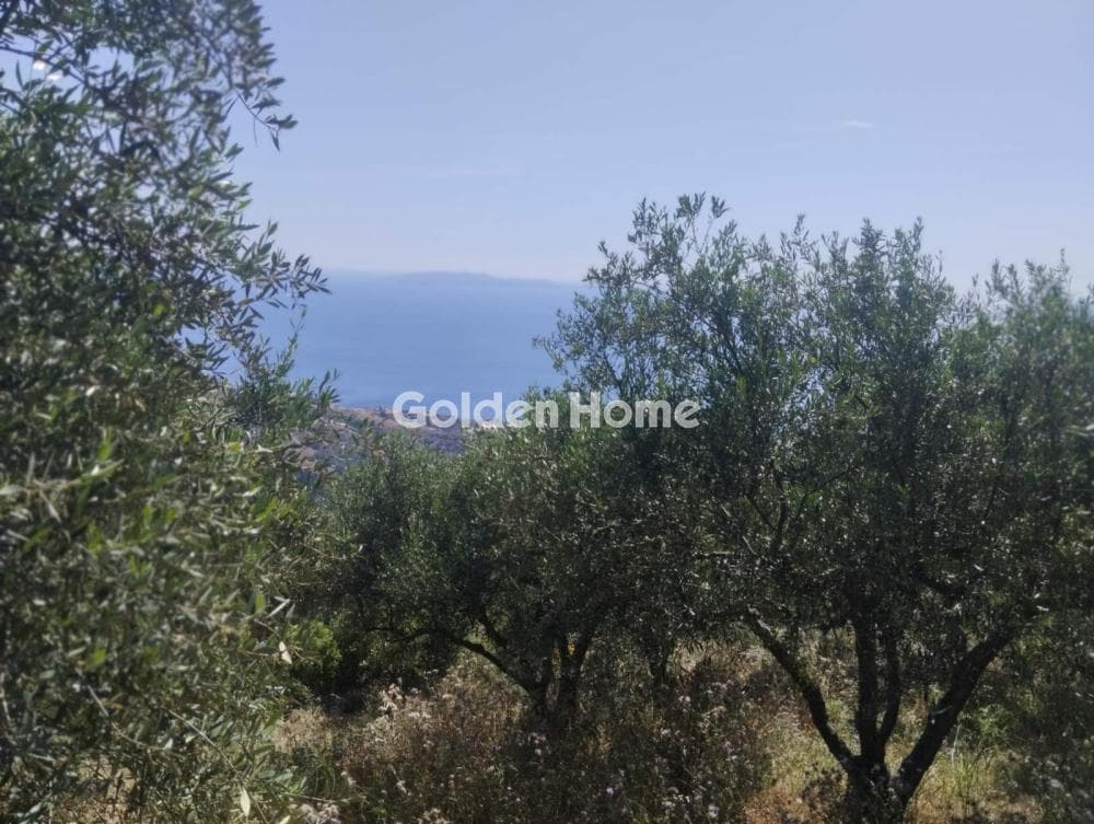 Οικόπεδο στην Καβροχώρι, Γάζι — Φωτογραφία 5 από 8