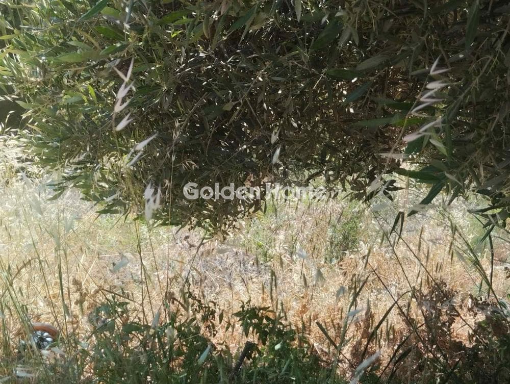 Οικόπεδο στην Άγιος Γεώργιος ο Μεθυστής, Γάζι — Φωτογραφία 1 από 3