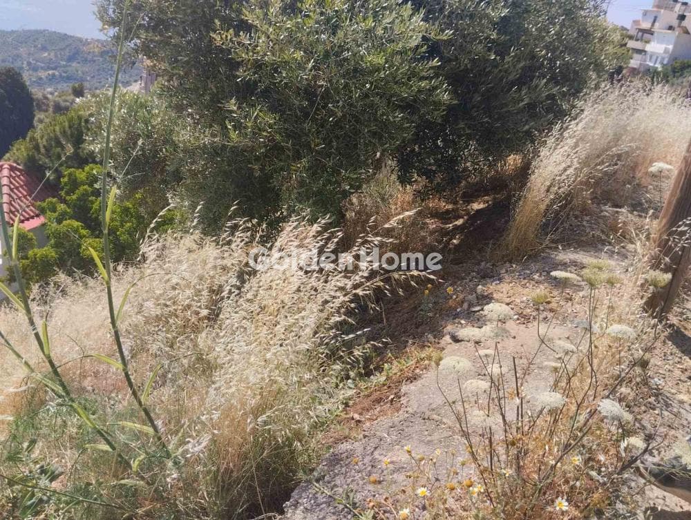 Οικόπεδο στην Άγιος Γεώργιος ο Μεθυστής, Γάζι — Φωτογραφία 3 από 3