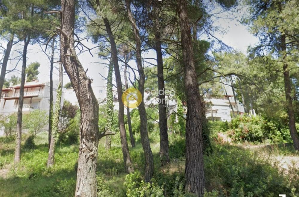 Οικόπεδο στην Καπιτένια, Άγιος Στέφανος — Φωτογραφία 1 από 5