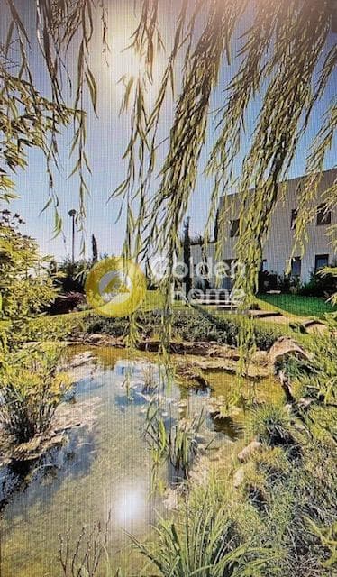 House in Panorama, Rafina — Photo 9 of 18
