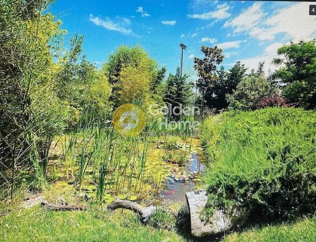 House in Panorama, Rafina — Photo 17 of 18