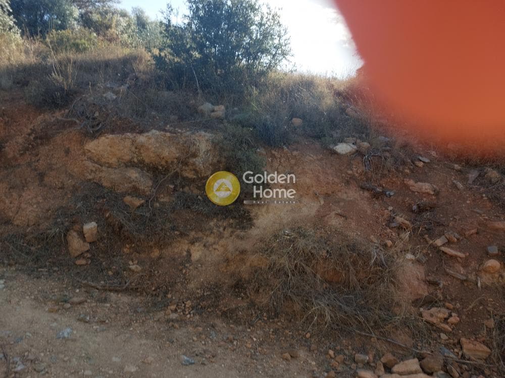 Building Plot in Rountzeri Lemprou, Keratea — Photo 6 of 6