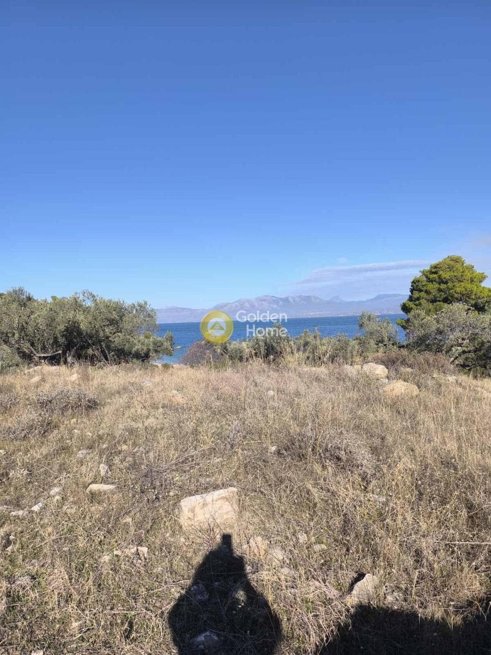 Αγροτεμάχιο στην Γραμματικό - Κέντρο, Γραμματικό — Φωτογραφία 1 από 9