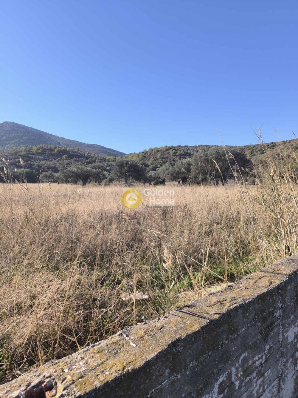 Αγροτεμάχιο στην Γραμματικό - Κέντρο, Γραμματικό — Φωτογραφία 6 από 9