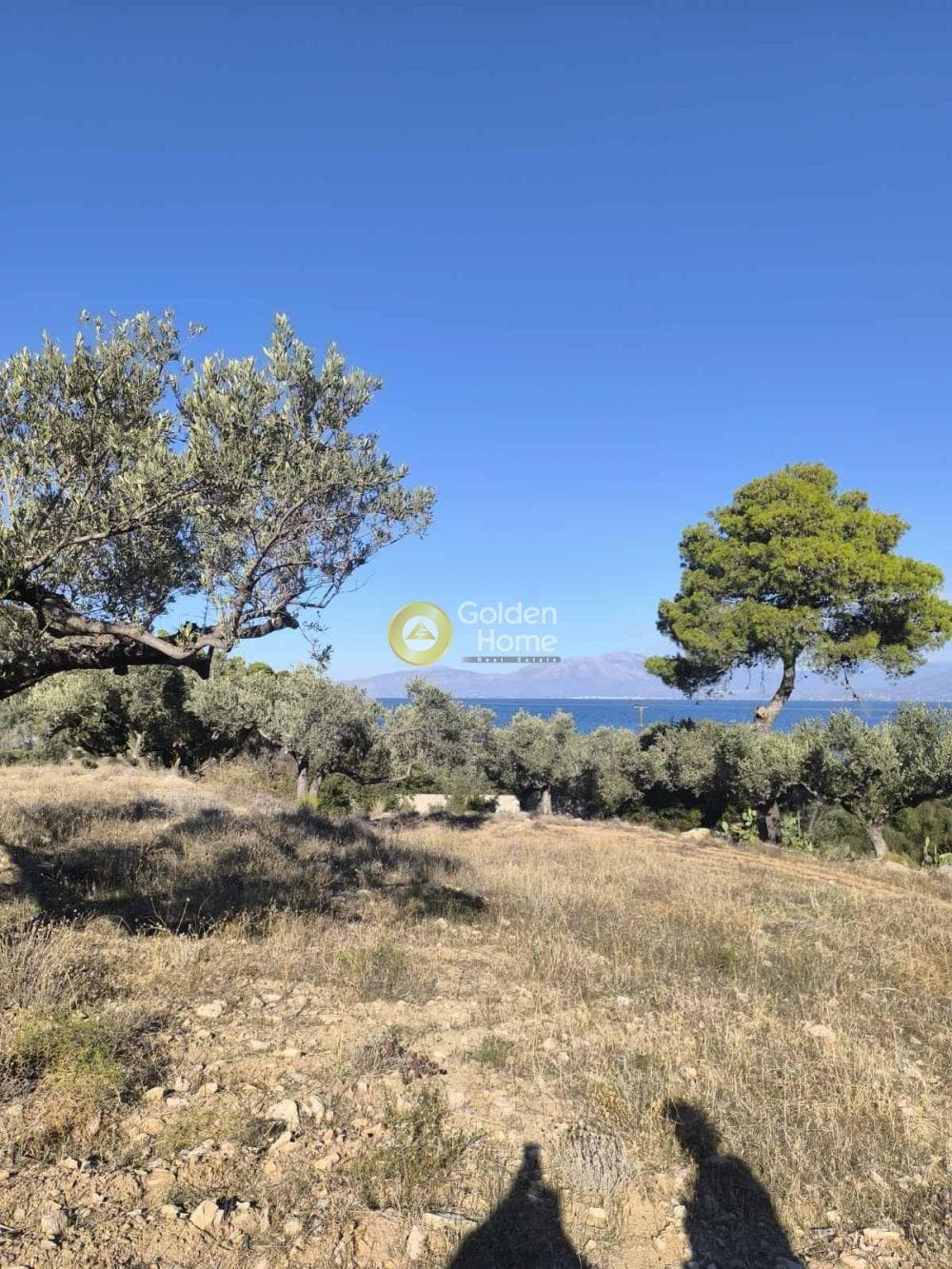 Αγροτεμάχιο στην Γραμματικό - Κέντρο, Γραμματικό — Φωτογραφία 5 από 9