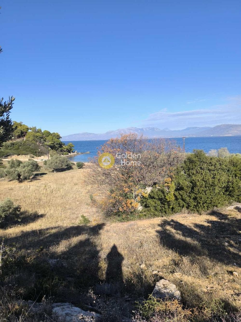 Αγροτεμάχιο στην Γραμματικό - Κέντρο, Γραμματικό — Φωτογραφία 3 από 9