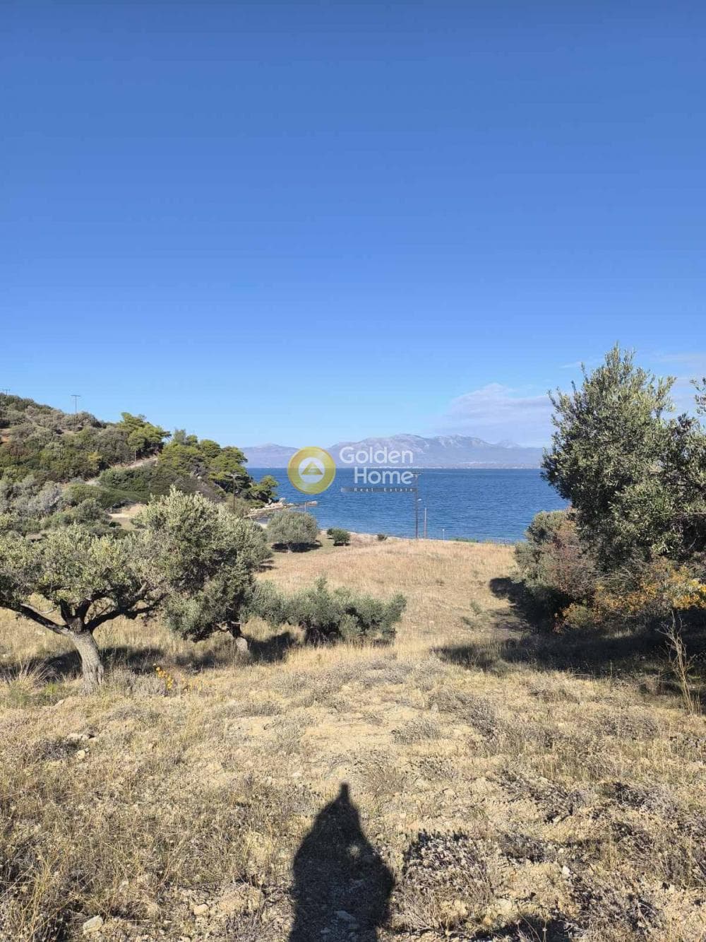 Αγροτεμάχιο στην Γραμματικό - Κέντρο, Γραμματικό — Φωτογραφία 2 από 9