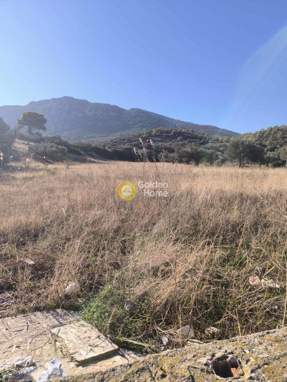 Αγροτεμάχιο στην Γραμματικό - Κέντρο, Γραμματικό — Φωτογραφία 7 από 9