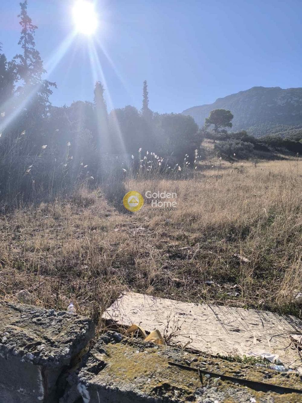 Αγροτεμάχιο στην Γραμματικό - Κέντρο, Γραμματικό — Φωτογραφία 8 από 9