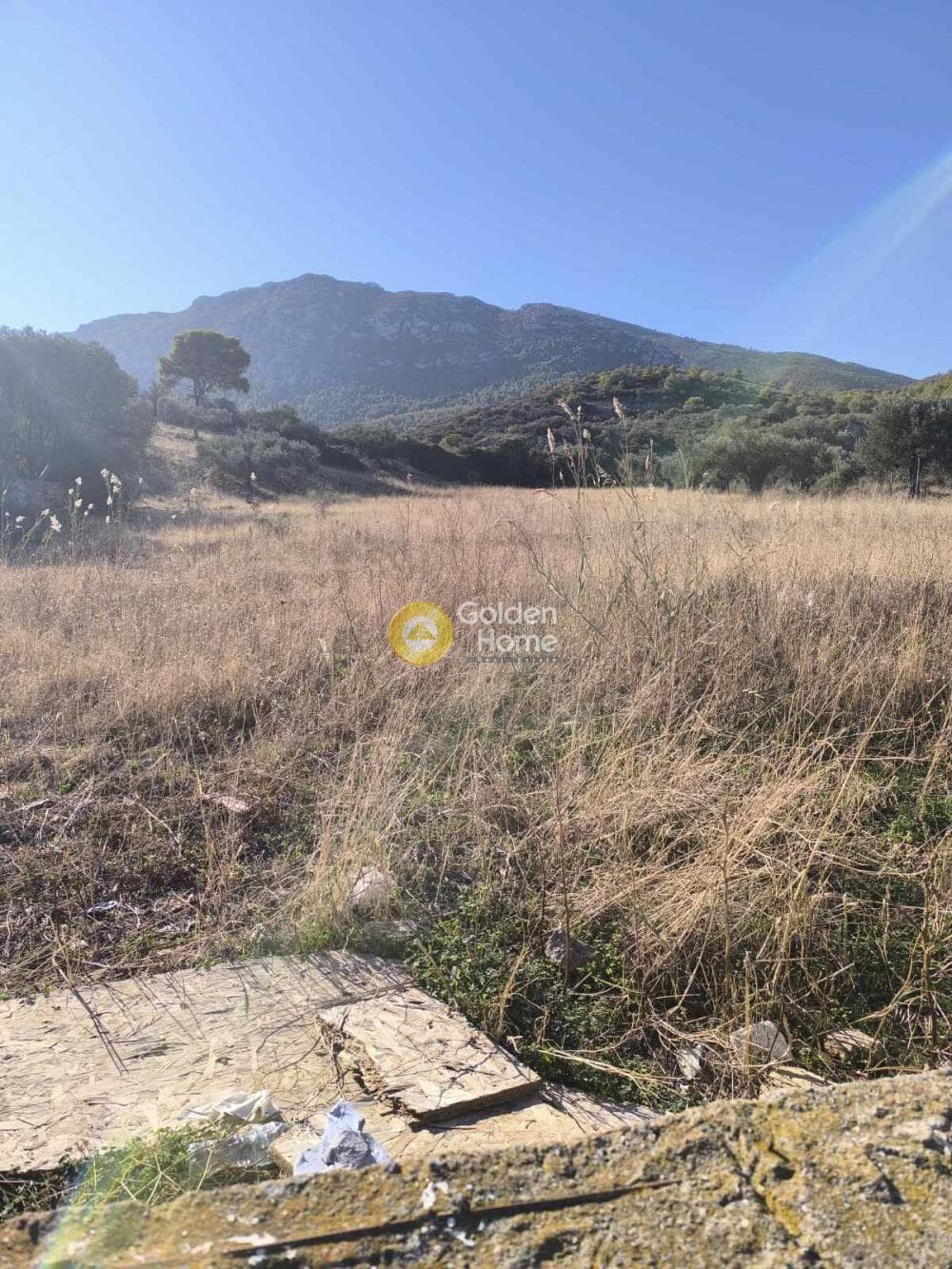 Αγροτεμάχιο στην Γραμματικό - Κέντρο, Γραμματικό — Φωτογραφία 9 από 9