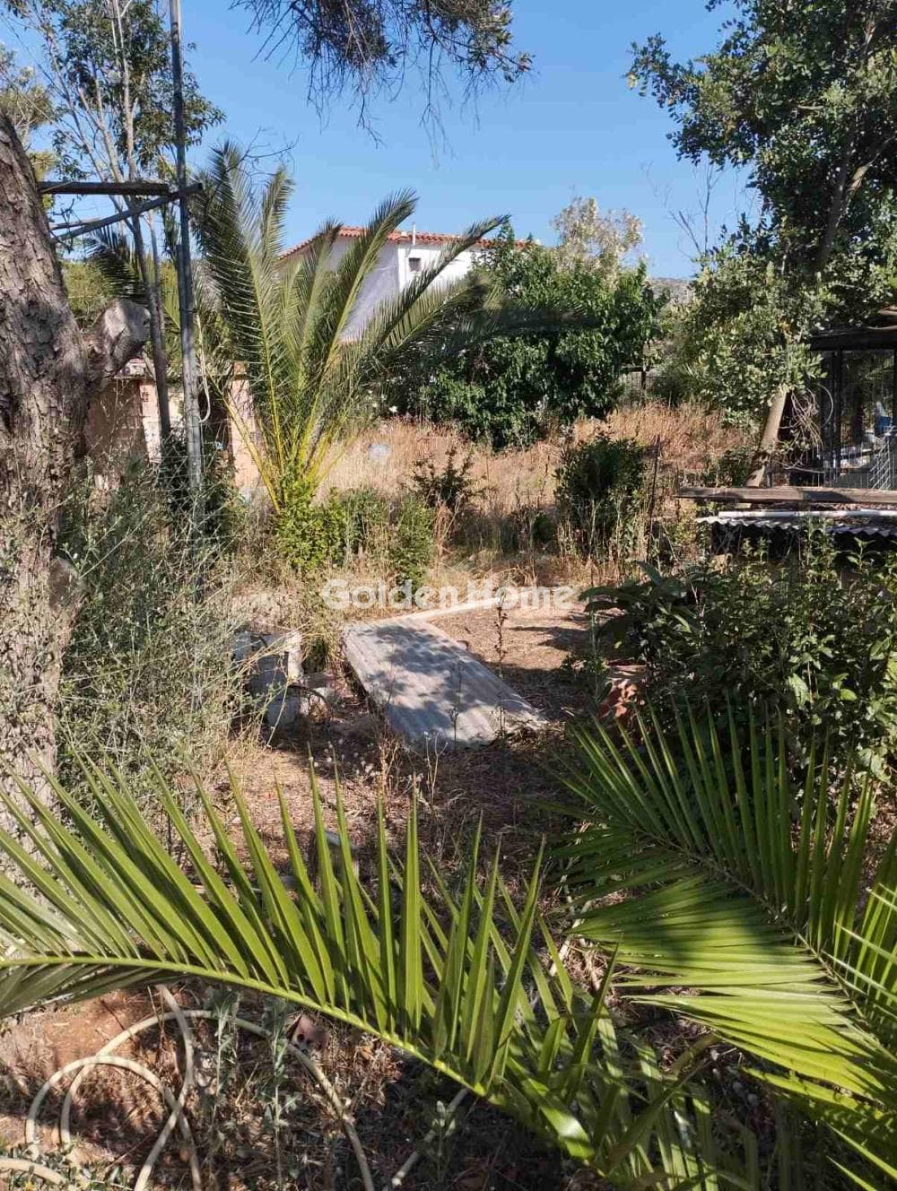 Μονοκατοικία στην Λαμπρικά, Κορωπί — Φωτογραφία 6 από 20