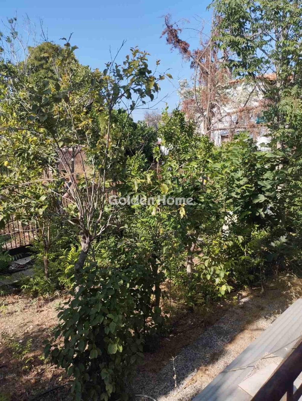 Μονοκατοικία στην Λαμπρικά, Κορωπί — Φωτογραφία 3 από 20