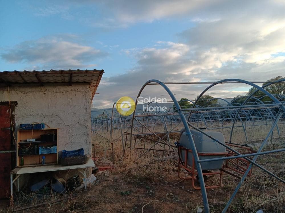 Parcel in Agia Aikaterini, Sikamino — Photo 1 of 2